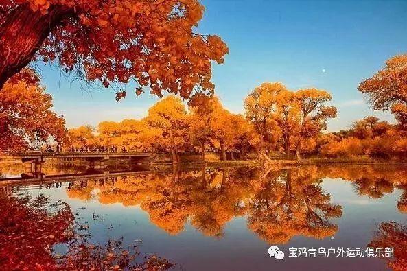和仇人的前任谈恋爱是什么体验?- 知识问答网页